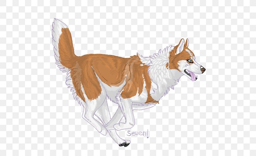 Dog Breed Red Fox Dhole Fur, PNG, 500x500px, Dog Breed, Breed, Carnivoran, Dhole, Dog Download Free