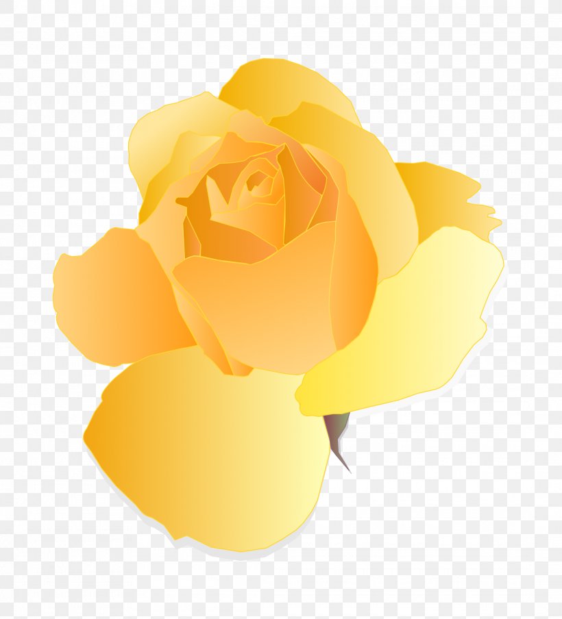 Eat And Style Rose Yellow Zazzle Thorns, Spines, And Prickles, PNG, 2175x2400px, Eat And Style, Adhesive, Cut Flowers, Decal, Flower Download Free