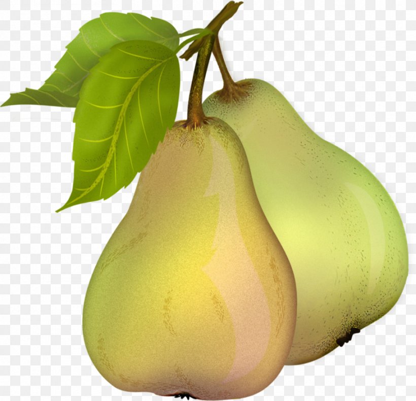 Pear Clip Art, PNG, 911x878px, Pear, Cartoon, Food, Fruit, Fruit Tree Download Free