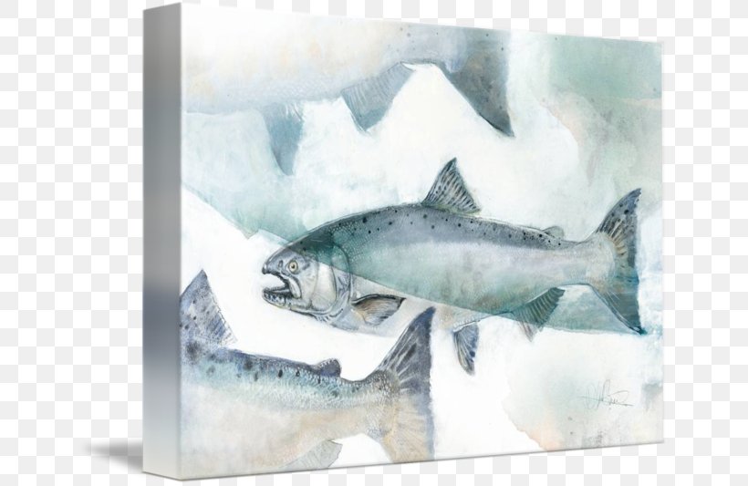 Shark Watercolor Painting Gallery Wrap Canvas, PNG, 650x533px, Shark, Art, Book, Canvas, Cartilaginous Fish Download Free