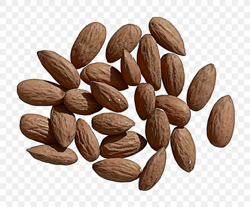 Almond Plant Superfood Food Nuts & Seeds, PNG, 1600x1324px, Almond, Food, Nuts Seeds, Plant, Seed Download Free