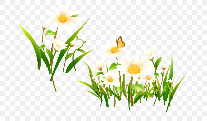 Romashki Presentation Clip Art, PNG, 694x480px, Presentation, Branch, Daisy, Digital Image, Flora Download Free