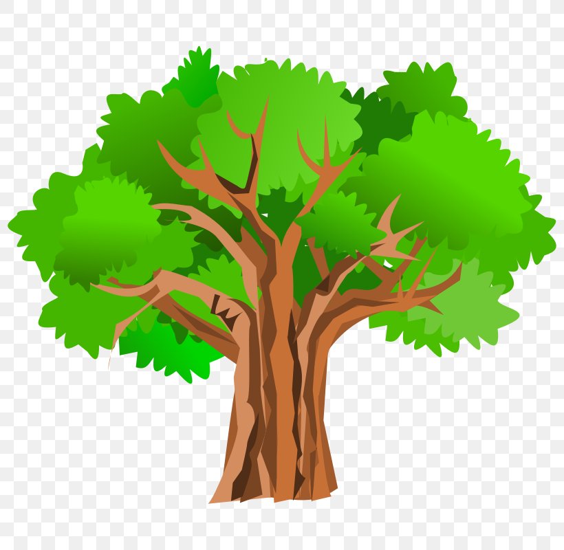 Tree Free Content Clip Art, PNG, 800x800px, Tree, Animation, Branch, Christmas Tree, Free Content Download Free