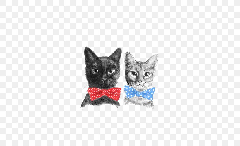 Kitten Cat Drawing, PNG, 500x500px, Kitten, Black And White, Black Tie, Bow Tie, Carnivoran Download Free
