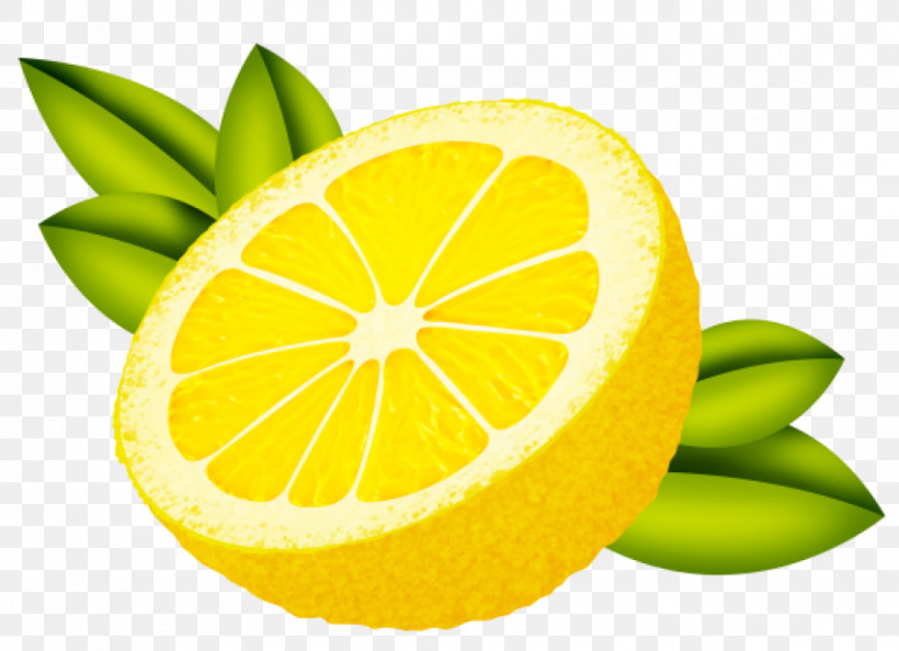 Lemon Sweet Lemon Key Lime Lime Grapefruit, PNG, 850x616px, Lemon, Blog, Citron, Fruit, Grapefruit Download Free