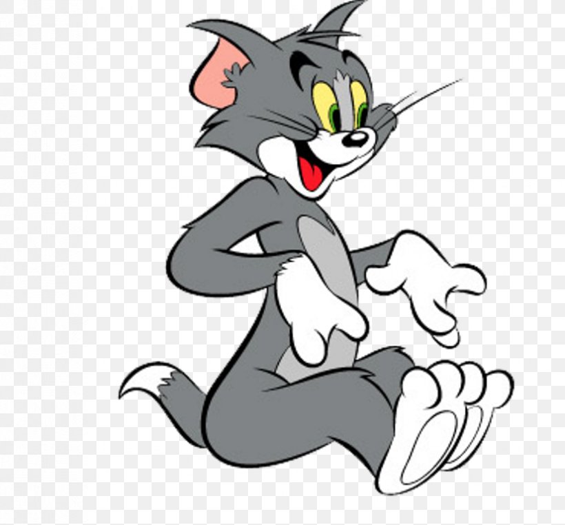 Tom Cat Tom And Jerry Jerry Mouse Cartoon Network, PNG, 826x768px, Tom Cat, Animation, Artwork, Beak, Carnivoran Download Free