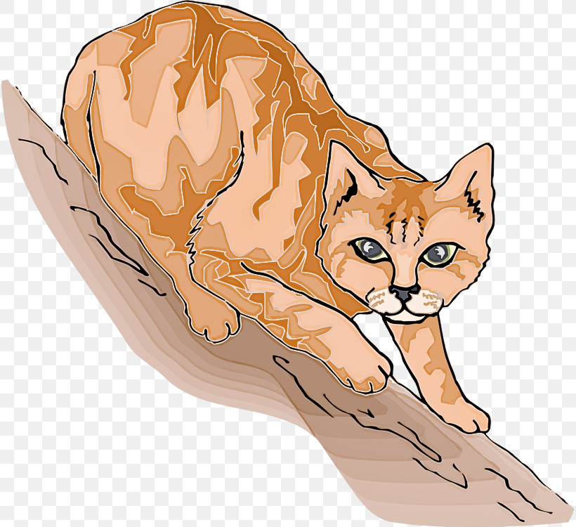 Fennec Fox Cat Small To Medium-sized Cats Wildlife Red Fox, PNG, 815x750px, Fennec Fox, Cat, Red Fox, Small To Mediumsized Cats, Swift Fox Download Free