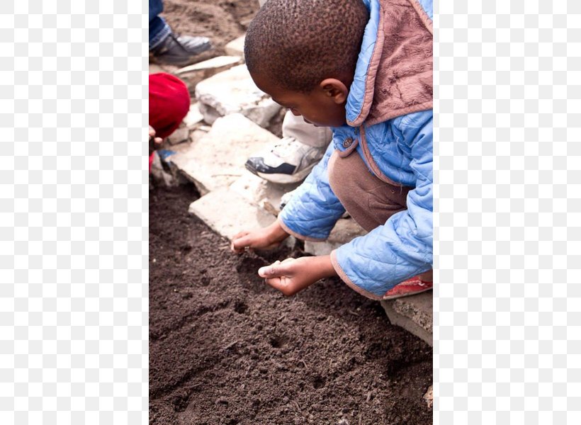 Soil Compostage South Africa Baby Food, PNG, 600x600px, Soil, Baby Food, Child, Compost, Compostage Download Free