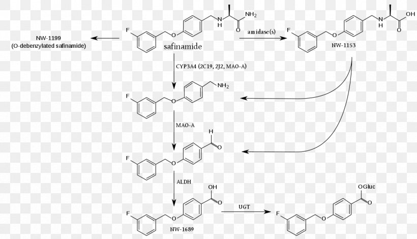 Fenbufen Metabolite Safinamide Coenzyme A Metabolism, PNG, 1280x735px, Metabolite, Acetylcysteine, Area, Black And White, Coenzyme Download Free