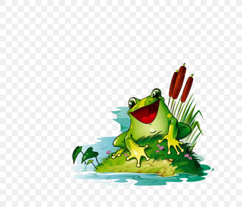 Лягушка-путешественница Frog Clip Art, PNG, 700x700px, Frog, Amphibian, Amphibians, Fauna, Frog Princess Download Free
