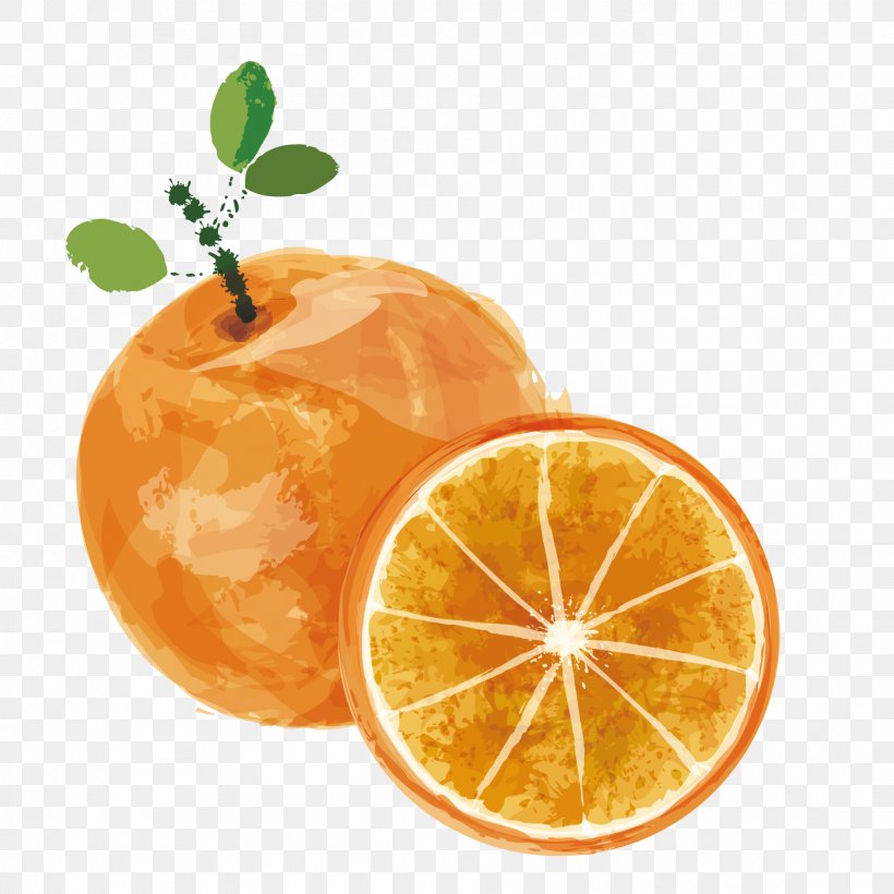 Juice Lemon Fruit Orange, PNG, 1875x1875px, Juice, Auglis, Bitter Orange, Citric Acid, Citrus Download Free
