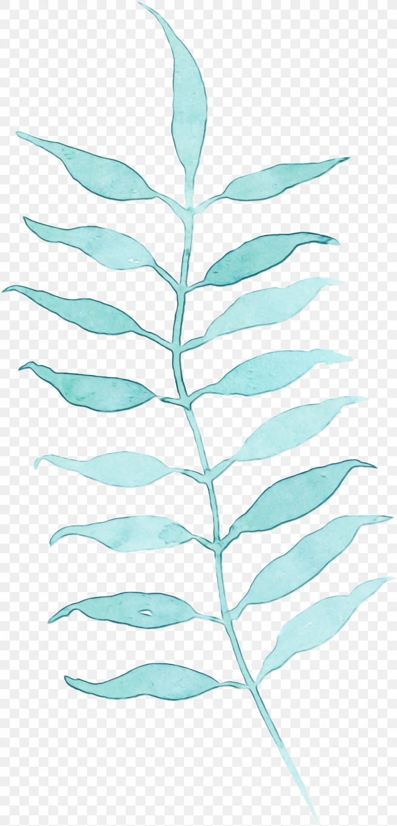 Leaf Plant Vascular Plant Tree Plant Stem, PNG, 965x2003px, Watercolor, Flower, Leaf, Paint, Plant Download Free