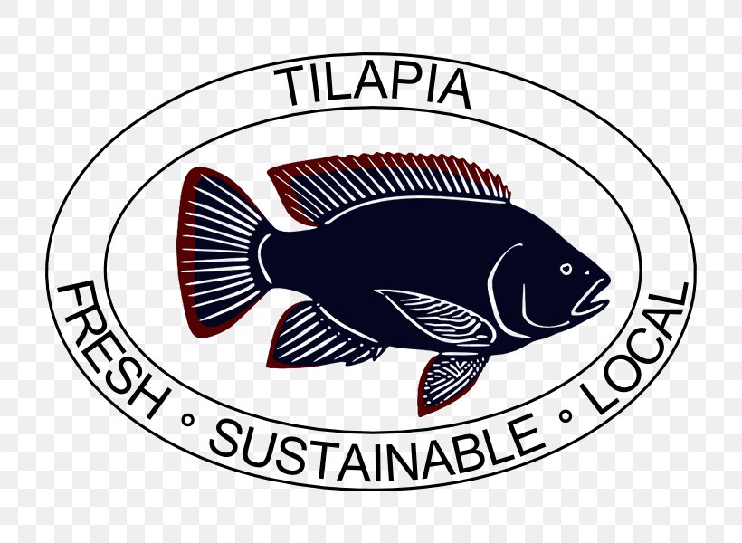 Logo Fish Tilapia Label Brand, PNG, 800x600px, Logo, Brand, Com, Fauna, Fish Download Free