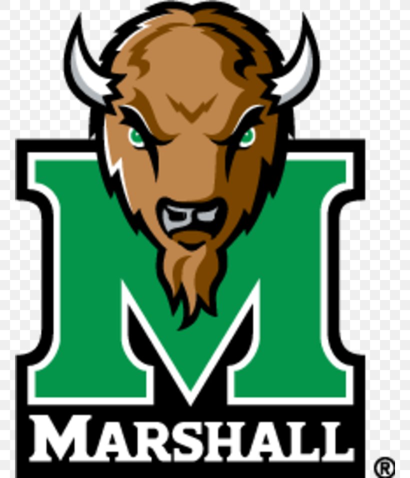 Marshall University Marshall Thundering Herd Football Marshall Thundering Herd Men's Basketball Southern Miss Golden Eagles Football 2017 New Mexico Bowl, PNG, 760x956px, Marshall University, Area, Artwork, Banner, Brand Download Free