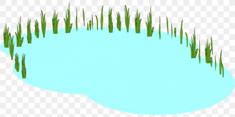 Pond Duck Clip Art, PNG, 1920x960px, Pond, Com, Duck, Duck Pond, Grass Download Free