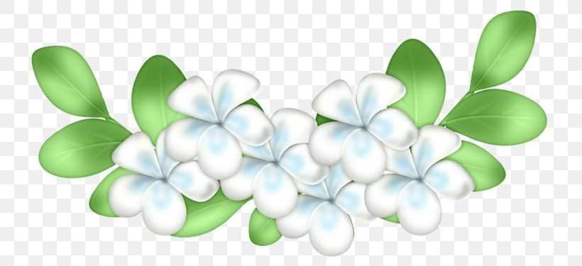 PPT Background, PNG, 800x375px, Ppt, Animation, Computer Graphics, Drawing, Flower Download Free