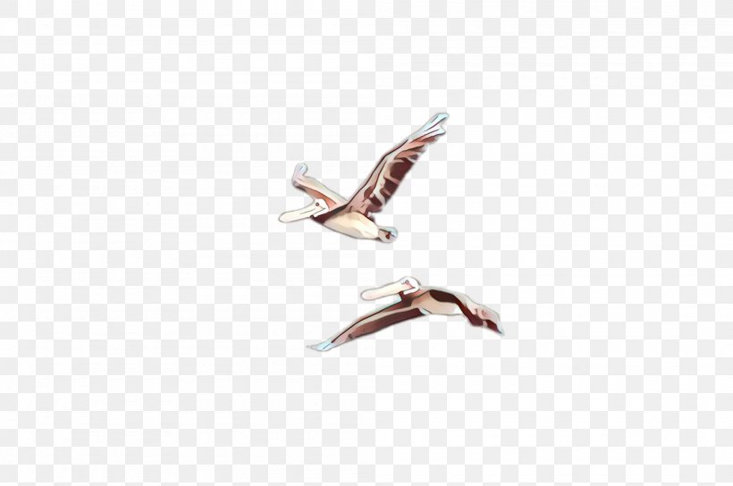 Seabird Wing Bird Gull Stork, PNG, 2000x1328px, Cartoon, Bird, Gull, Jewellery, Seabird Download Free