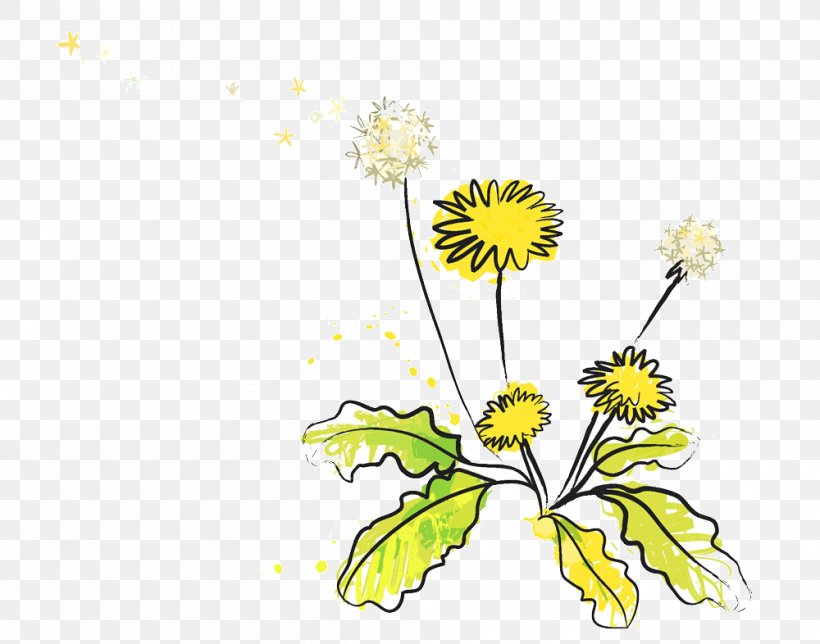 Vector Graphics Illustration Clip Art Image Euclidean Vector, PNG, 1000x786px, Watercolor Painting, Botany, Camomile, Cartoon, Chamomile Download Free