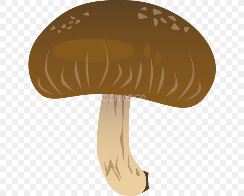 Hat Mushroom, PNG, 630x660px, Hat, Headgear, Mushroom, Table Download Free