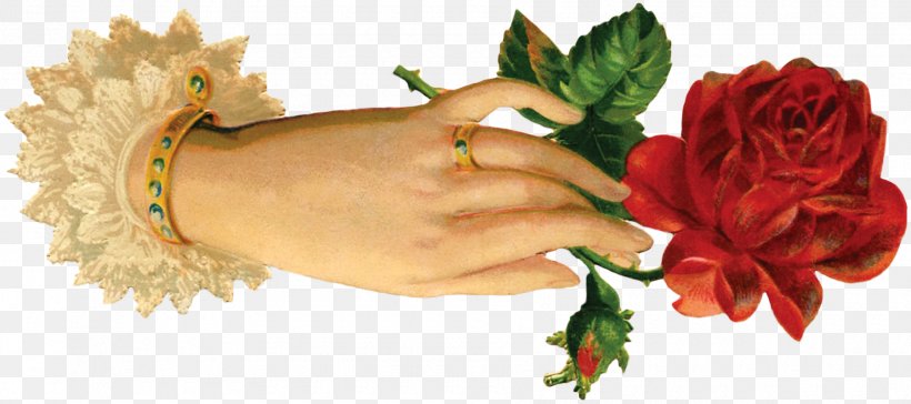 Paper Flower Rose Floral Design Clip Art, PNG, 1800x801px, Paper, Antique, Art, Blue Rose, Cut Flowers Download Free