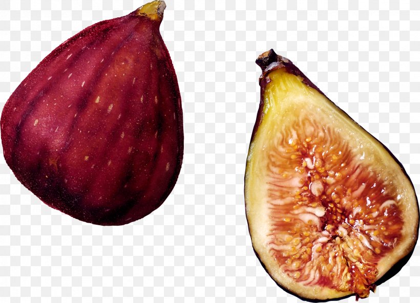 Common Fig Weeping Fig Tree Fruit, PNG, 2001x1446px, Common Fig, Alkaline Diet, Auglis, Dietary Fiber, Dried Fruit Download Free