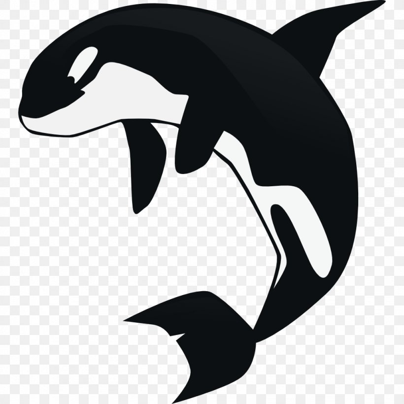 Killer Whale Cetacea Clip Art, PNG, 1024x1024px, Killer Whale, Artwork, Beak, Black, Black And White Download Free