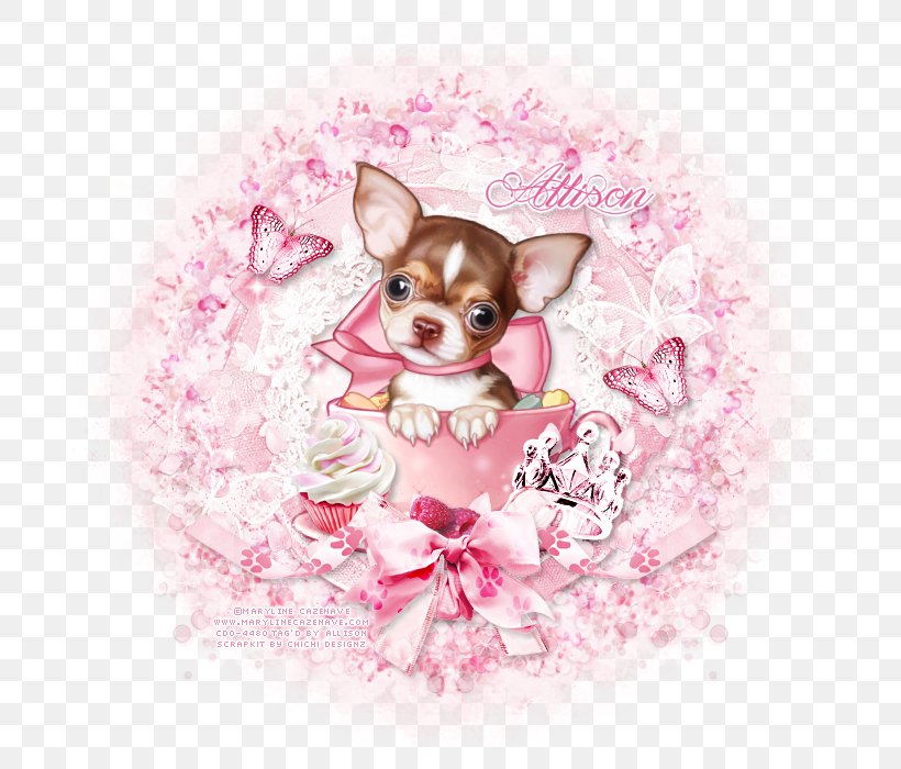 Chihuahua Puppy Love Dog Breed Companion Dog, PNG, 700x700px, Chihuahua, Breed, Carnivoran, Clothing, Companion Dog Download Free