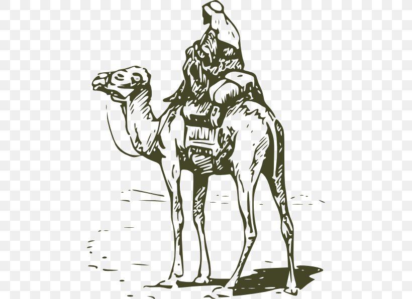 Bactrian Camel Dromedary Horse Clip Art, PNG, 474x596px, Bactrian Camel, Arabian Camel, Art, Black And White, Camel Download Free