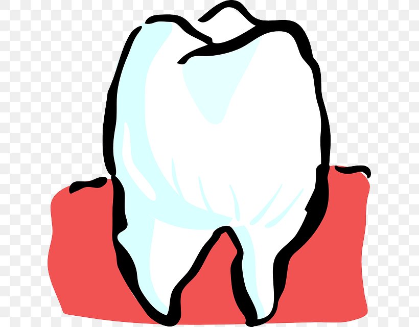 Human Tooth Dentistry Clip Art, PNG, 633x640px, Watercolor, Cartoon, Flower, Frame, Heart Download Free