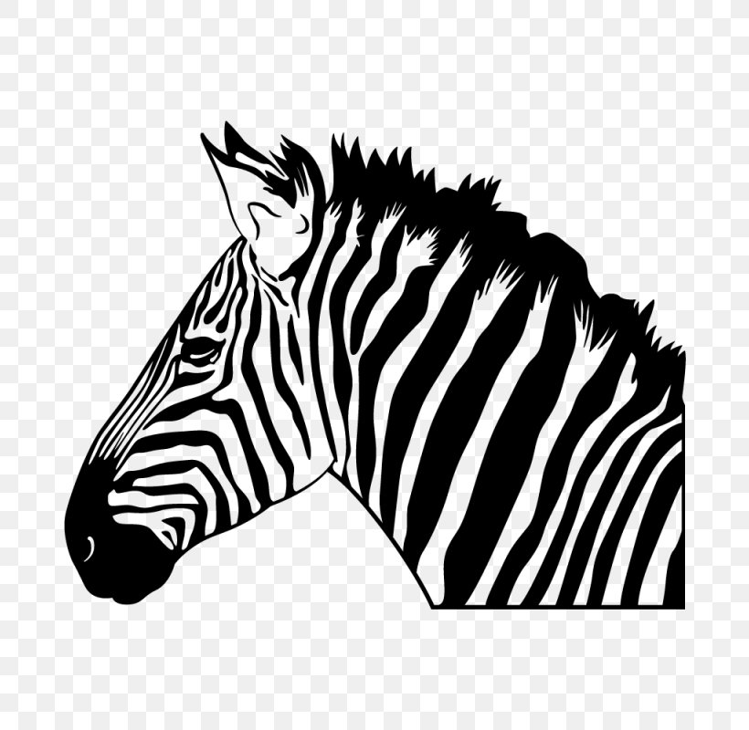Mountain Zebra Wall Decal Sticker Clip Art, PNG, 800x800px, Zebra, Animal, Art, Black, Black And White Download Free