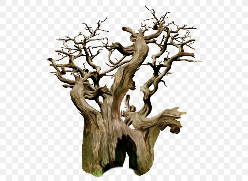 Tree Stump Trunk Branch Wood, PNG, 600x600px, Tree, Branch, Drawing, Houseplant, Oak Download Free