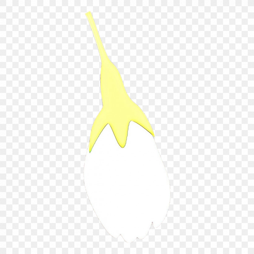 White Yellow Logo Star Plant, PNG, 1200x1200px, White, Logo, Plant, Star, Yellow Download Free