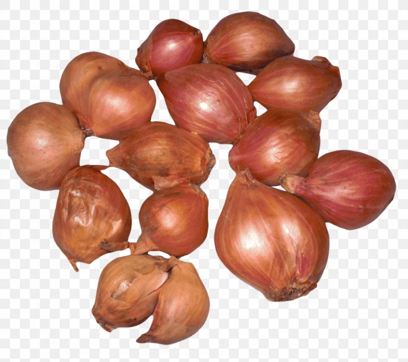 Yellow Onion Shallot French Cuisine Allium Fistulosum Scallion, PNG, 850x754px, Yellow Onion, Allium, Allium Fistulosum, Chestnut, Food Download Free