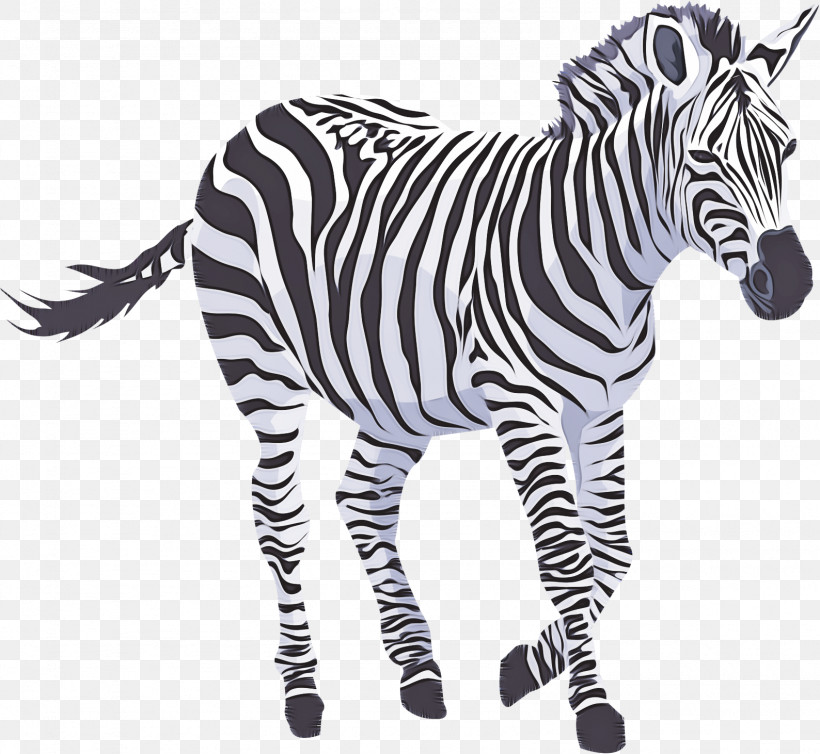 Zebra Animal Figure Wildlife Snout Black-and-white, PNG, 1588x1462px, Zebra, Animal Figure, Blackandwhite, Mane, Snout Download Free