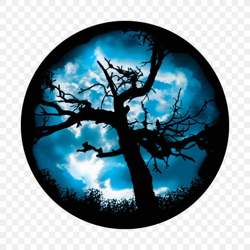 Full Moon, PNG, 1200x1200px, Branch, Aqua, Atmosphere, Circle, Electric Blue Download Free