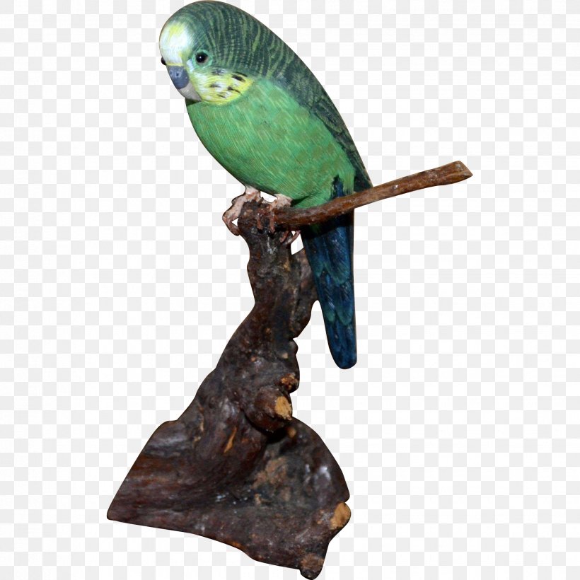 Parakeet Feather Pet Beak, PNG, 1955x1955px, Parakeet, Beak, Bird, Common Pet Parakeet, Fauna Download Free