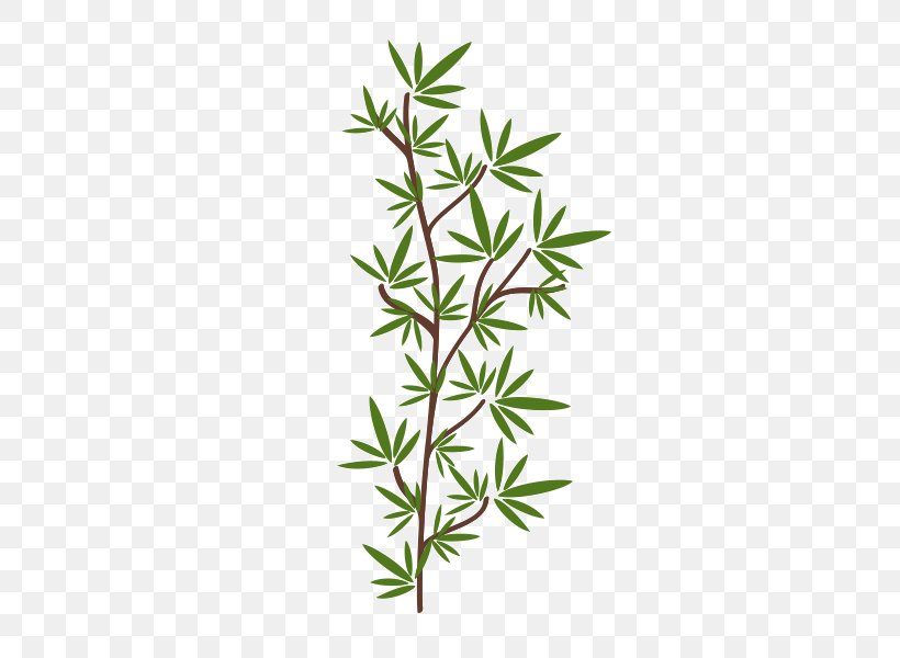 Spa Element, PNG, 600x600px, Spa, Branch, Element, Grass, Herb Download Free