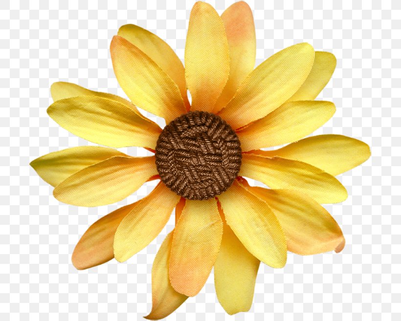 Sticker Flower Clip Art, PNG, 699x657px, Sticker, Blog, Color, Common Sunflower, Dahlia Download Free
