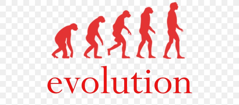 Human Evolution Homo Sapiens Peking Man Evolutionary Art, PNG, 748x363px, Human Evolution, Area, Australopithecus Africanus, Brand, Decal Download Free