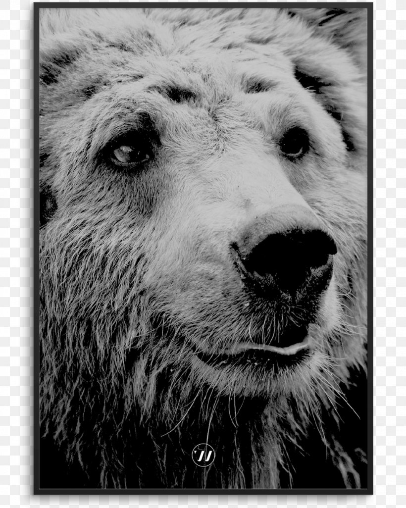 Poster Art Dog Breed Black And White, PNG, 980x1227px, Poster, Animal, Art, Artist, Bear Download Free