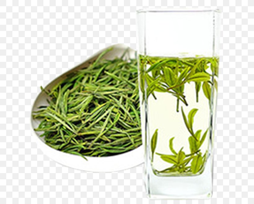 White Tea Gyokuro Anji County Hu014djicha, PNG, 664x660px, Tea, Anji County, Biluochun, Cup, Flowerpot Download Free