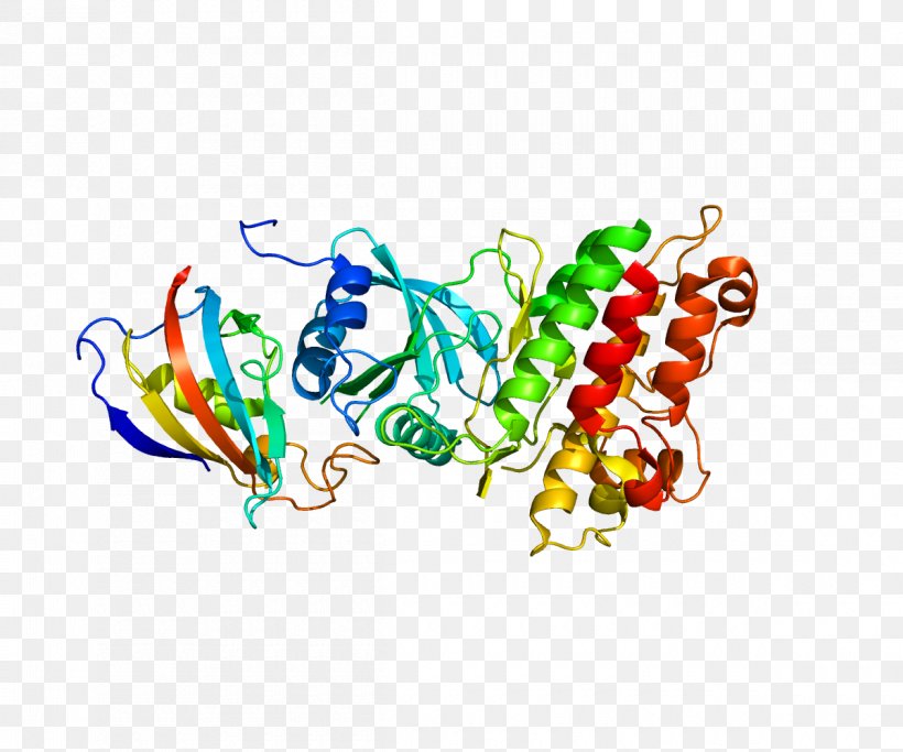 ACVR1 Bone Morphogenetic Protein Fibrodysplasia Ossificans Progressiva Activin Receptor, PNG, 1200x1000px, Watercolor, Cartoon, Flower, Frame, Heart Download Free