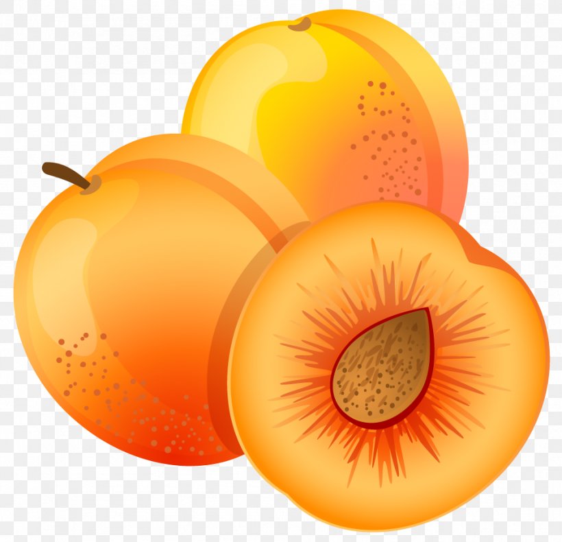 Apricot Fruit Peach Clip Art, PNG, 951x917px, Apricot, Can Stock Photo, Diet Food, Food, Fruit Download Free