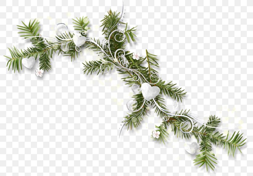 Christmas Tree Christmas Ornament Christmas Day New Year Spruce, PNG, 800x571px, Christmas Tree, Branch, Christmas Day, Christmas Decoration, Christmas Ornament Download Free