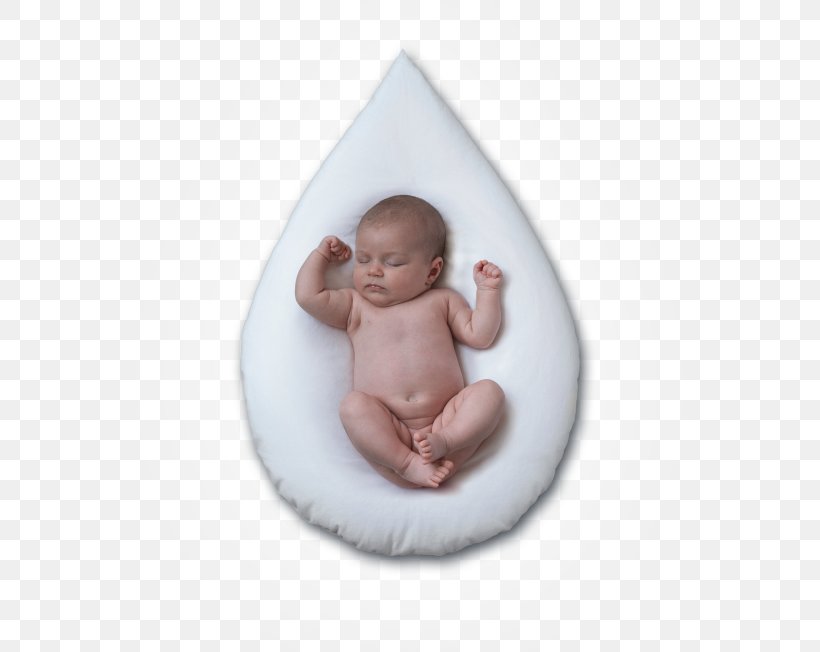 Lactobacillus Reuteri BioGaia Bacteria Infant Child, PNG, 652x652px, Watercolor, Cartoon, Flower, Frame, Heart Download Free