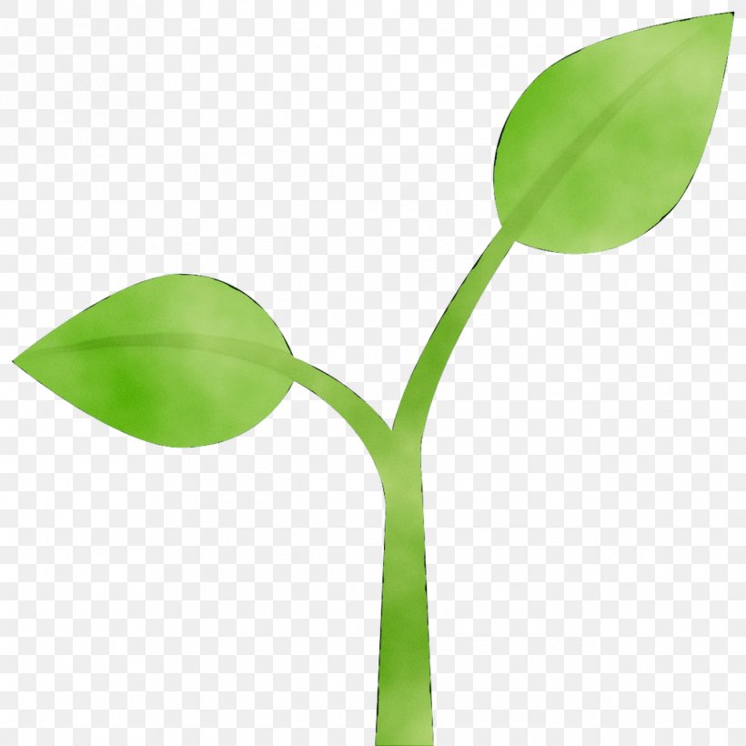 Leaf Plant Stem Product Design, PNG, 1269x1269px, Leaf, Arum Family, Botany, Flower, Flowering Plant Download Free