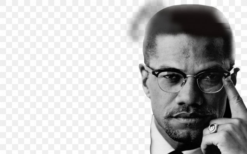Malcolm X African American Quotation Love You Can't Separate Peace From Freedom Because No One Can Be At Peace Unless He Has His Freedom., PNG, 1992x1247px, Malcolm X, Activism, African American, Africanamerican History, Black And White Download Free