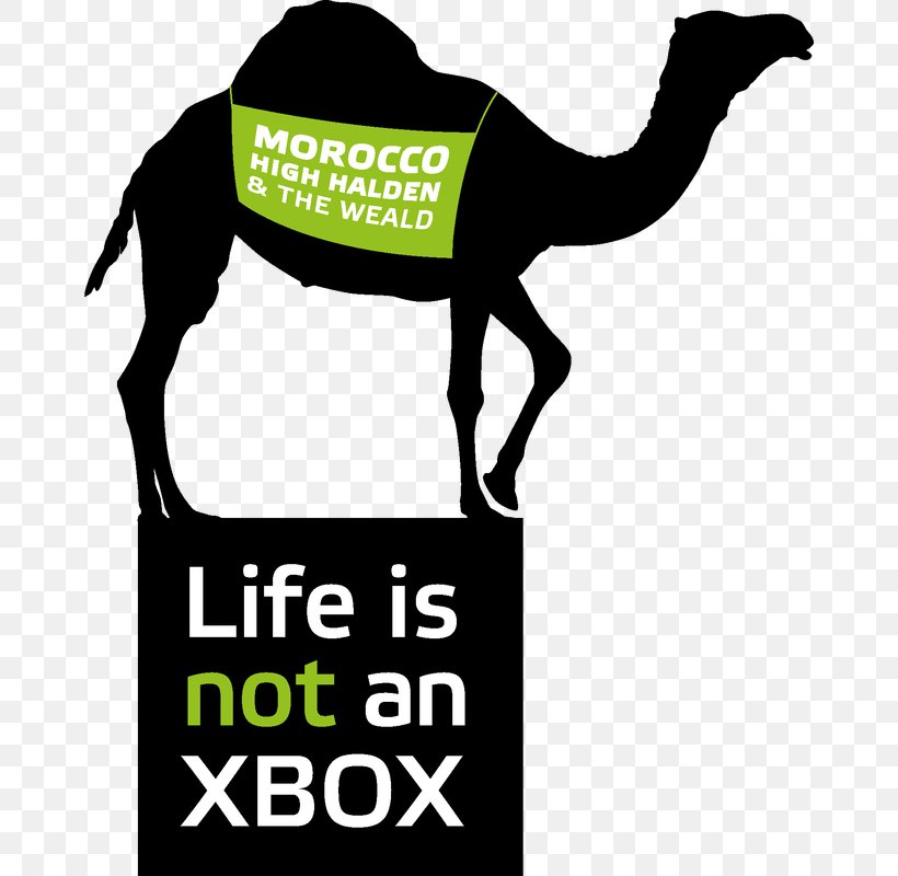 Roblox Dromedary Birthday Xbox One Party, PNG, 666x800px, Roblox, Arabian Camel, Birthday, Brand, Camel Download Free