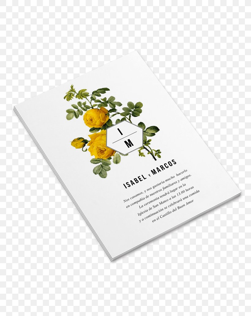 Rose Rosa Hemisphaerica Yellow Flower Cross-stitch, PNG, 800x1033px, Rose, Chart, Crossstitch, Flower, Graph Of A Function Download Free