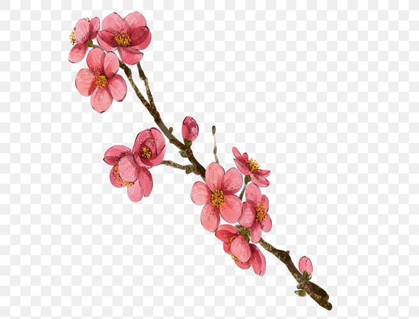 Watercolor Painting Plum Blossom, PNG, 726x625px, Watercolor Painting, Blossom, Branch, Bud, Cherry Download Free